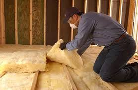 Best Insulation Removal  in Ettrick, VA